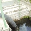 Système de filtration des eaux